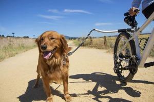 Sherpa Cycleash Dog Bicycle Leash