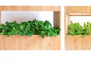 GÜD Plant Box: Modular Indoor Gardening System