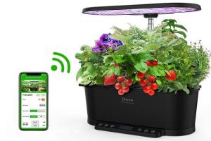 Diivoo WiFi Hydroponic Garden