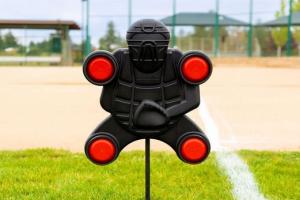 Pro Pitch by baseballtec for Dynamic Baseball Training