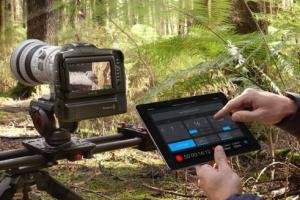 Blackmagic Design Pocket Cinema Camera 6K G2 for Video Pros