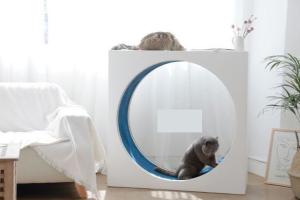 Large, Silent Cat Treadmill with 120kg Weight Capacity