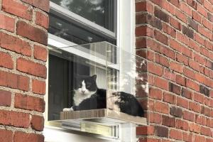 Kitty Kubby Gives Your Cats a 360-Degree View of the Outside World