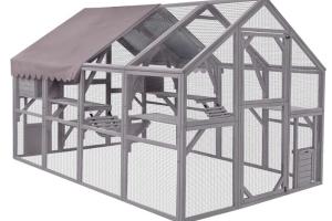 Aivituvin-AIR52 56.54 ft² Large Cat Enclosure
