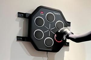 Trauemy Wall Mounted Interactive Boxing Trainer