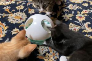 PETGEEK Hiding Mouse Motorized Cat Toy