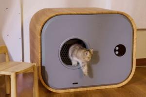Lilboxy Max App Connected Self Cleaning Litter Box