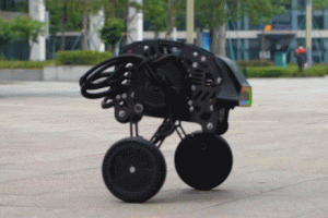 Diablo Transformable Self Balancing Wheeled-Leg Robot