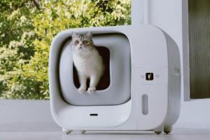 Furbulous: Self Packing Cat Litter Box with App Connectivity