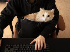 Bauhutte Nyangaroo Gamer Hoodie with Cat Snuggle Pouch