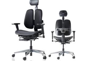 Duorest Alpha Ergonomic Office Chair for Back Pain