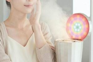 Ya-Man YJSB0N Photo Care Facial Steamer