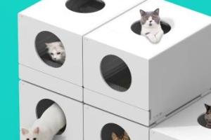Scubic Self-Cleaning Litter Box with Lots of Space, Stackable Design