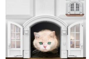 Purrfect Portal French Cat Door
