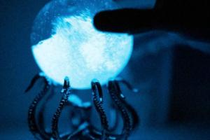 Bioluminescent Bio-Orb with Live Plankton