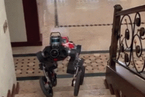 Swiss-Mile Quadruped Transformer Robot