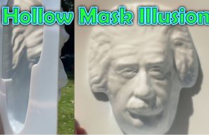 Einstein Hollow Face Optical Illusion Toy