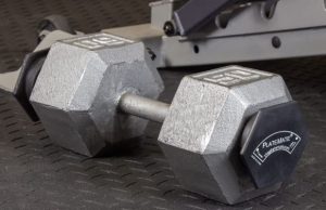 PlateMate Magnetic Microload Weights for Dumbbells