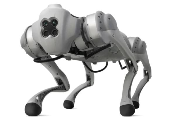 Go1 Quadruped Robot