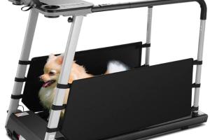ANCHEER Dog Treadmill