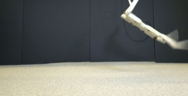 Solo-Robot-Learning-Backflips.gif
