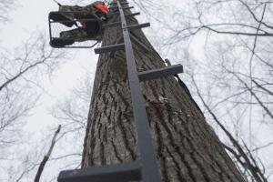Rivers Edge RE730 Tree Stand Climbing System