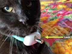 2-Mode Cat Laser Collar Tested