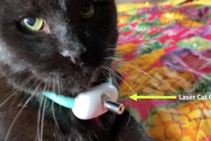 2-Mode Cat Laser Collar Tested