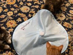 SmartyKat Hot Pursuit Electronic Cat Toy Tested