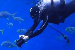 Surando Underwater Scooter with 2m/s Speed