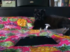 Space Wheel Perpetual Motion Science Toy Tested