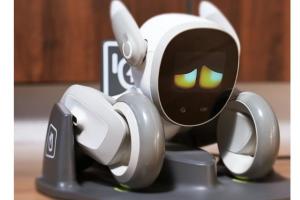 Loona ChatGPT Integrated Interactive Robot Pet
