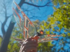 X-Fly Biomimetic Robotic Flying Creature with App