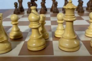 Weighted Chessnut Pro Pieces Tested