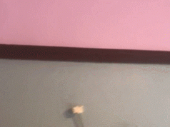 Triple Pendulum Kinetic Wall Toy