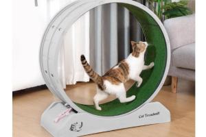 COZIWOW 31.5-inch Cat Treadmill with Lock