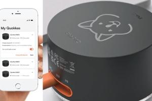 Quokka 30-qubit Quantum Computer Emulator with 3 Programming Modes