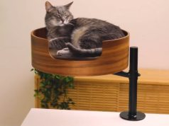 Desk Nest: Adjustable Cat Bed for Your Desk