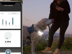Lumi Illuminated Dog Harness with App GPS Tracking