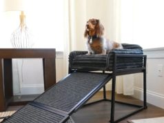 SeatMate Office Chair for Dogs & Cats