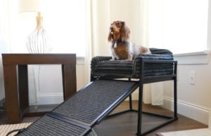 SeatMate Office Chair for Dogs & Cats