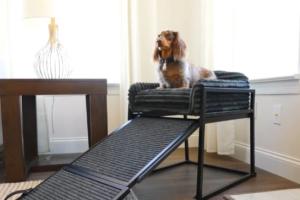 SeatMate Office Chair for Dogs & Cats
