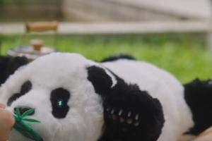 metaPanda Interactive Robotic Companion Panda
