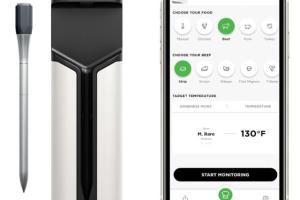 Ninja ProChef WP100 Bluetooth Meat Thermometer