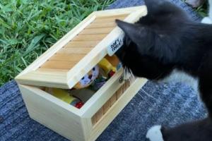 Don’t Touch Useless Box Tested