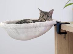 Kobuddy: Cat Bed for Your Desk