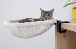 Kobuddy: Cat Bed for Your Desk