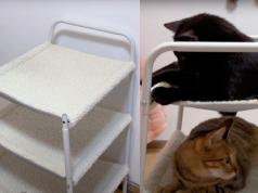 clawsable 3-Story Heated Cat Bed