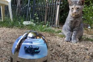 Whale Fall Upgraded Ferrofluid Speaker with Sound Pickup