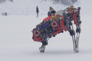 Stella 3D Printable Quadruped Robot